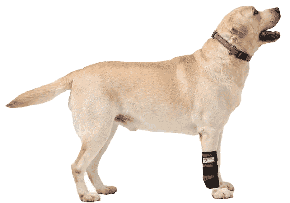 Nature Pet Hunde Bandagen