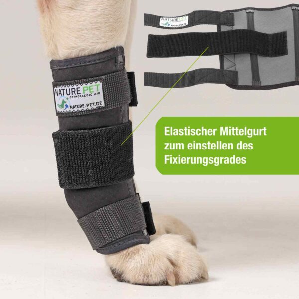 Medium Handgelenk Bandage für Hunde – Bild 4